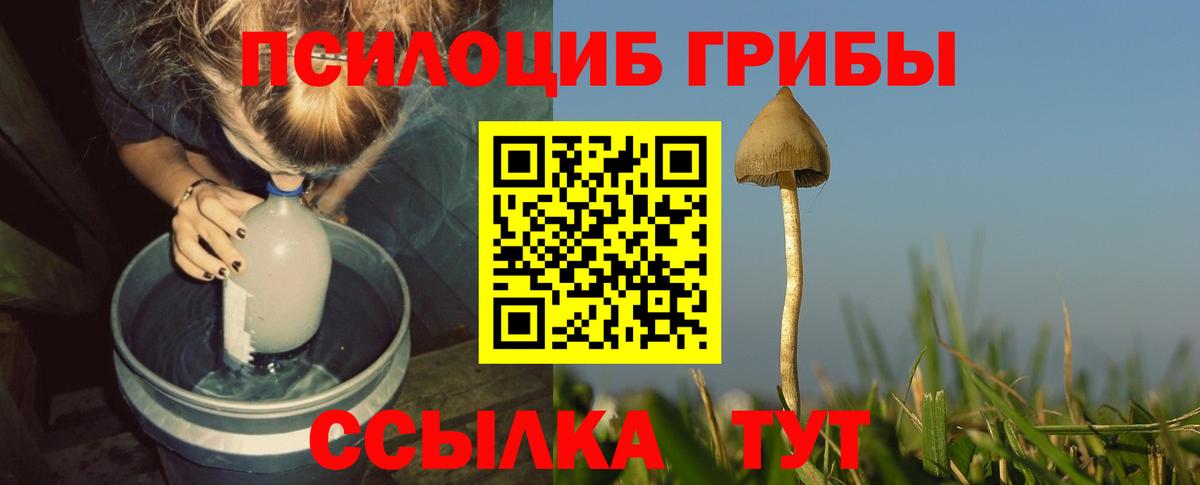 Темрюк  Псилоцибиновые грибы MAGIC MUSHROOMS  Псилоцибиновые грибы GOLDEN TEACHER  Вход с VPN 